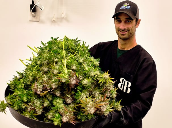 Bonsai Buds Cultivation | Case Study | TSRgrow